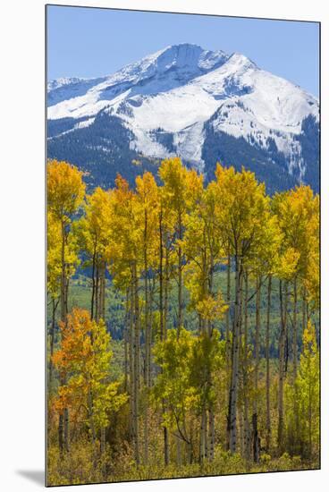 USA, Colorado. Fall Aspens and Mountain-Jaynes Gallery-Mounted Premium Photographic Print