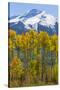 USA, Colorado. Fall Aspens and Mountain-Jaynes Gallery-Stretched Canvas