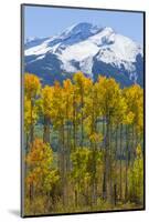 USA, Colorado. Fall Aspens and Mountain-Jaynes Gallery-Mounted Photographic Print