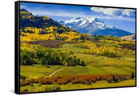 USA, Colorado, fall colors, vista-George Theodore-Framed Stretched Canvas
