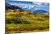 USA, Colorado, fall colors, vista-George Theodore-Stretched Canvas