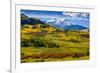 USA, Colorado, fall colors, vista-George Theodore-Framed Photographic Print