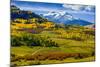 USA, Colorado, fall colors, vista-George Theodore-Mounted Photographic Print