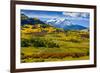 USA, Colorado, fall colors, vista-George Theodore-Framed Premium Photographic Print