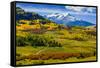 USA, Colorado, fall colors, vista-George Theodore-Framed Stretched Canvas