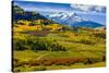 USA, Colorado, fall colors, vista-George Theodore-Stretched Canvas