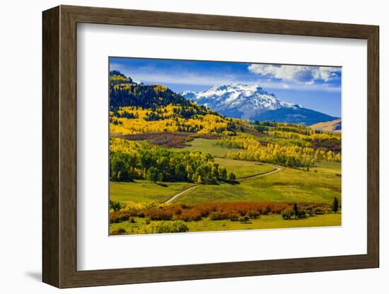 USA, Colorado, fall colors, vista-George Theodore-Framed Photographic Print