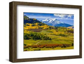 USA, Colorado, fall colors, vista-George Theodore-Framed Photographic Print