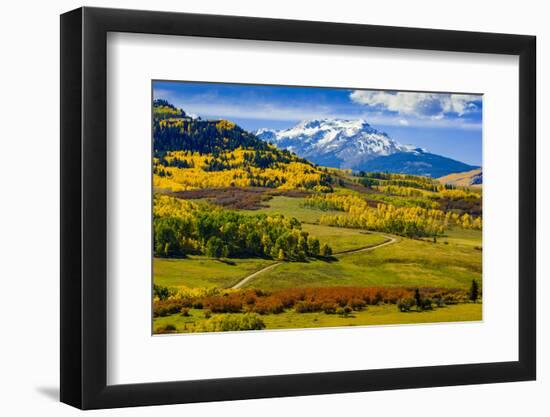 USA, Colorado, fall colors, vista-George Theodore-Framed Photographic Print