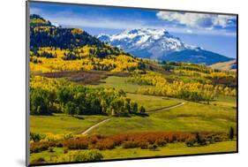 USA, Colorado, fall colors, vista-George Theodore-Mounted Photographic Print