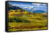 USA, Colorado, fall colors, vista-George Theodore-Framed Stretched Canvas