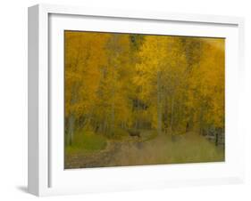 USA, Colorado, Fall colors.-George Theodore-Framed Photographic Print