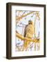 USA, Colorado, Fort Collins. Red-tailed hawk close-up.-Jaynes Gallery-Framed Photographic Print