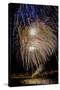 USA, Colorado, Frisco, Dillon Reservoir. Fireworks display on July 4th-Fred Lord-Stretched Canvas