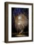 USA, Colorado, Frisco, Dillon Reservoir. Fireworks display on July 4th-Fred Lord-Framed Photographic Print