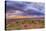 USA, Colorado, Fruita. Sunrise over Colorado National Monument.-Fred Lord-Stretched Canvas