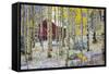 USA, Colorado, Grand Mesa. Solitary Cabin in a Forest-Jaynes Gallery-Framed Stretched Canvas