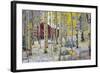 USA, Colorado, Grand Mesa. Solitary Cabin in a Forest-Jaynes Gallery-Framed Photographic Print