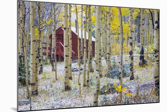 USA, Colorado, Grand Mesa. Solitary Cabin in a Forest-Jaynes Gallery-Mounted Photographic Print
