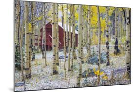 USA, Colorado, Grand Mesa. Solitary Cabin in a Forest-Jaynes Gallery-Mounted Photographic Print