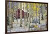 USA, Colorado, Grand Mesa. Solitary Cabin in a Forest-Jaynes Gallery-Framed Photographic Print