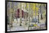 USA, Colorado, Grand Mesa. Solitary Cabin in a Forest-Jaynes Gallery-Framed Photographic Print