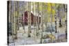 USA, Colorado, Grand Mesa. Solitary Cabin in a Forest-Jaynes Gallery-Stretched Canvas