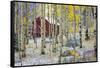 USA, Colorado, Grand Mesa. Solitary Cabin in a Forest-Jaynes Gallery-Framed Stretched Canvas