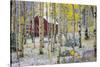 USA, Colorado, Grand Mesa. Solitary Cabin in a Forest-Jaynes Gallery-Stretched Canvas
