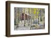 USA, Colorado, Grand Mesa. Solitary Cabin in a Forest-Jaynes Gallery-Framed Photographic Print