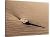 USA, Colorado, Great Sand Dunes National Park and Preserve. Rock and Ripples on a Dune-Ann Collins-Stretched Canvas