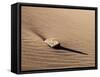 USA, Colorado, Great Sand Dunes National Park and Preserve. Rock and Ripples on a Dune-Ann Collins-Framed Stretched Canvas