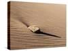 USA, Colorado, Great Sand Dunes National Park and Preserve. Rock and Ripples on a Dune-Ann Collins-Stretched Canvas