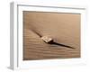 USA, Colorado, Great Sand Dunes National Park and Preserve. Rock and Ripples on a Dune-Ann Collins-Framed Photographic Print