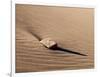 USA, Colorado, Great Sand Dunes National Park and Preserve. Rock and Ripples on a Dune-Ann Collins-Framed Photographic Print