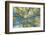 Usa, Colorado, Gunnison National Forest, Looking up in an Autumn Aspen Grove-Rob Tilley-Framed Photographic Print