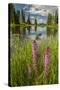 USA, Colorado, Gunnison National Forest. Paradise Divide and Pond Reflection-Jaynes Gallery-Stretched Canvas