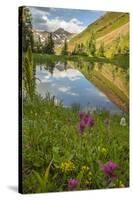 USA, Colorado, Gunnison National Forest. Paradise Divide and Pond Reflection-Jaynes Gallery-Stretched Canvas