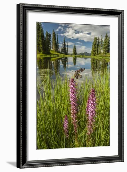 USA, Colorado, Gunnison National Forest. Paradise Divide and Pond Reflection-Jaynes Gallery-Framed Photographic Print