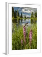 USA, Colorado, Gunnison National Forest. Paradise Divide and Pond Reflection-Jaynes Gallery-Framed Photographic Print