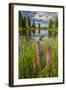 USA, Colorado, Gunnison National Forest. Paradise Divide and Pond Reflection-Jaynes Gallery-Framed Photographic Print