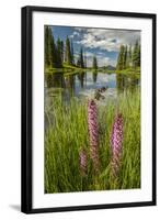 USA, Colorado, Gunnison National Forest. Paradise Divide and Pond Reflection-Jaynes Gallery-Framed Photographic Print