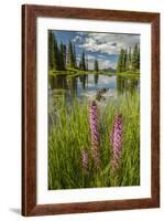 USA, Colorado, Gunnison National Forest. Paradise Divide and Pond Reflection-Jaynes Gallery-Framed Photographic Print