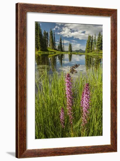 USA, Colorado, Gunnison National Forest. Paradise Divide and Pond Reflection-Jaynes Gallery-Framed Photographic Print