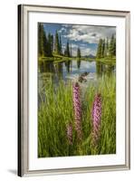 USA, Colorado, Gunnison National Forest. Paradise Divide and Pond Reflection-Jaynes Gallery-Framed Photographic Print