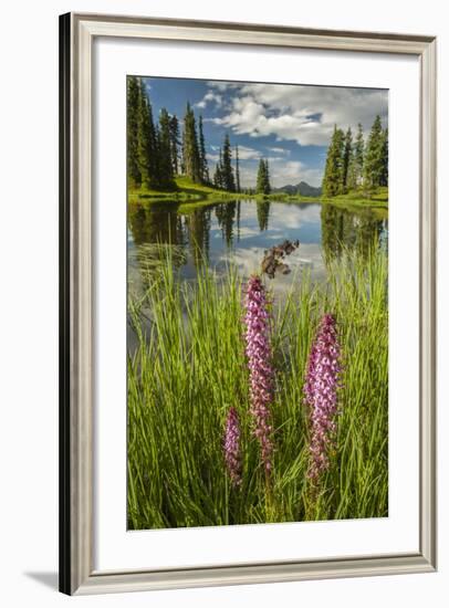 USA, Colorado, Gunnison National Forest. Paradise Divide and Pond Reflection-Jaynes Gallery-Framed Photographic Print