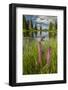 USA, Colorado, Gunnison National Forest. Paradise Divide and Pond Reflection-Jaynes Gallery-Framed Photographic Print