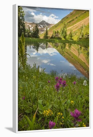 USA, Colorado, Gunnison National Forest. Paradise Divide and Pond Reflection-Jaynes Gallery-Framed Photographic Print