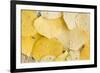 Usa, Colorado, Gunnison National Forest, Water Drops on Aspen Leaves-Rob Tilley-Framed Premium Photographic Print