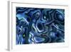 USA, Colorado, Lafayette. Abalone Shell Close Up-Jaynes Gallery-Framed Photographic Print